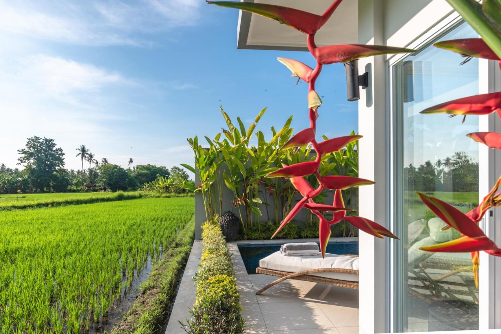 Villa Shiva Lovina  Ngoại thất bức ảnh
